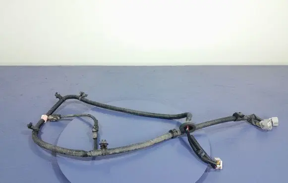 Lexus NX Other wiring loom