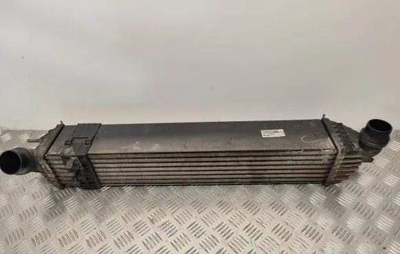 Renault Laguna III Intercooler radiator 144960001R
