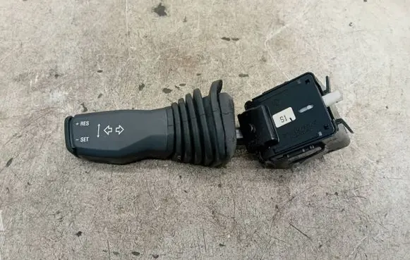Opel Antara Indicator stalk 202005410