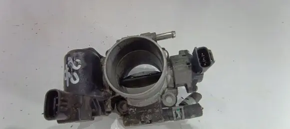 Toyota Hilux (AN10, AN20, AN30) Throttle valve 1923002010