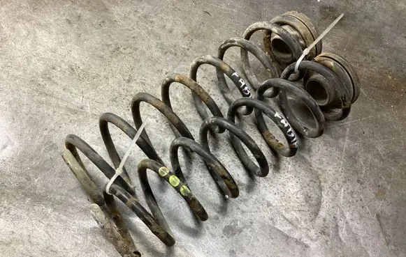 Rear coil spring