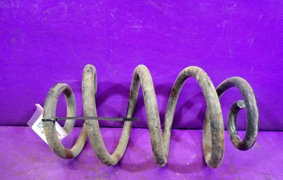 Rear coil spring