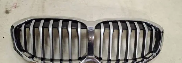 BMW 1 F40 Front grill 5A39366