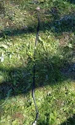 Honda Accord Engine bonnet/hood prop rod/strut 