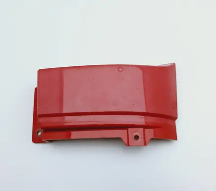 Rear/tail light trim molding