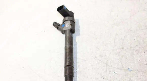 Mercedes-Benz S W220 Fuel injector A6280700387 0445110094