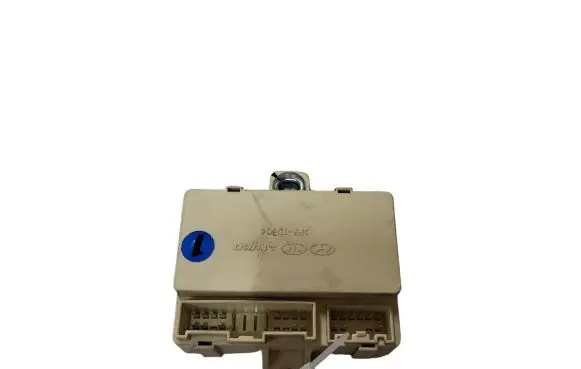KIA Sportage Other control units/modules 919401F010