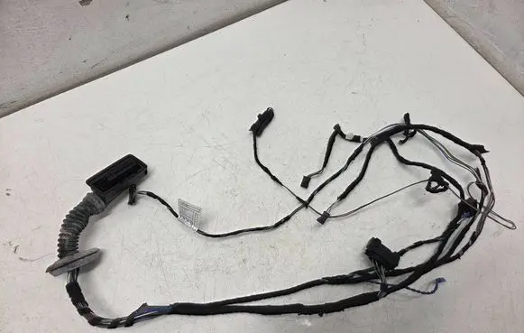 BMW 3 F30 F35 F31 Front door wiring loom 9286209 300812D 015573215068401