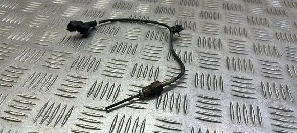 Citroen C4 II Exhaust gas temperature sensor 140821