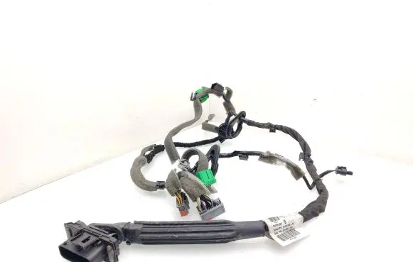Front door wiring loom