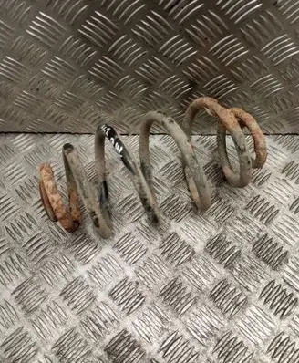 Rear coil spring