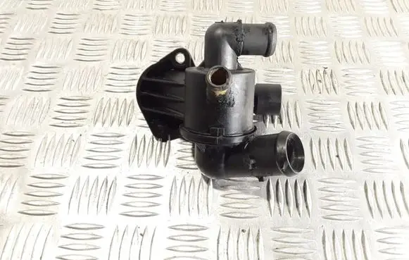 Thermostat/thermostat housing