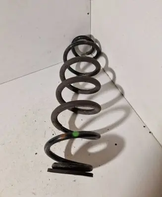 Rear coil spring