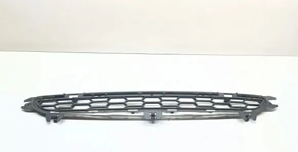 BMW X3 F25 Front bumper lower grill 8048096