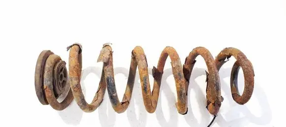 Rear coil spring