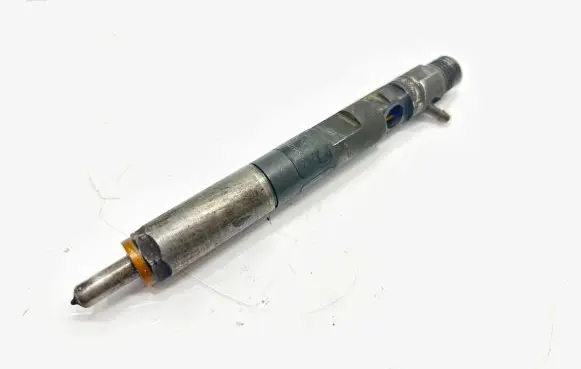Renault Kangoo II Fuel injector 28237259 2441GF05W04