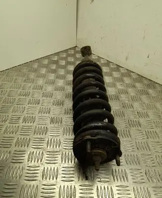 Ford Ranger Front shock absorber with coil spring 19280448