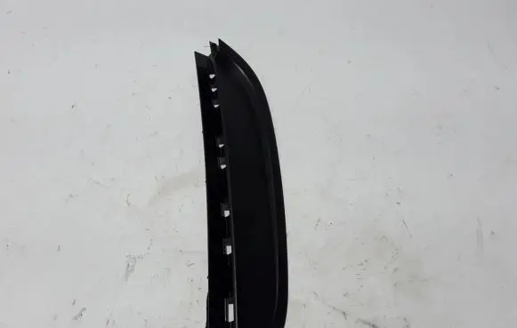 Rear door trim (molding)