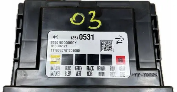 Cadillac Escalade IV Other control units/modules 13510531