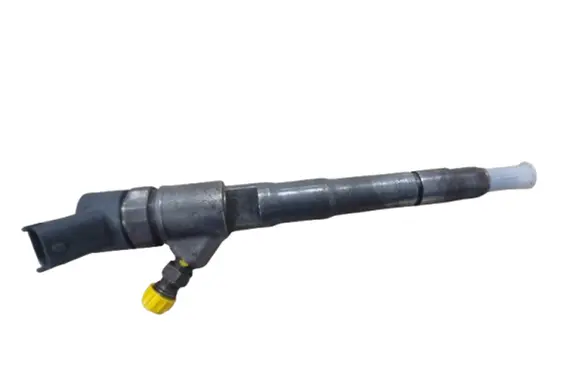 Iveco Daily 5th gen Fuel injector 0445110418