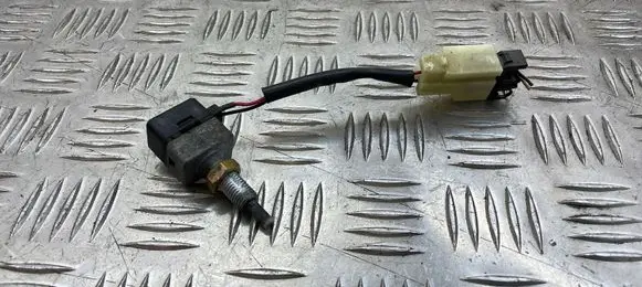 Hyundai Santa Fe Brake pedal sensor switch 9384038000