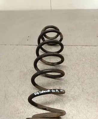 Rear coil spring