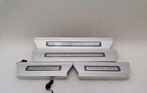 Land Rover Range Rover L405 Front door trim (molding) CPLA13200DC