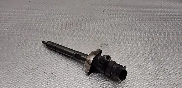 Citroen C4 Grand Picasso Fuel injector 0445110297