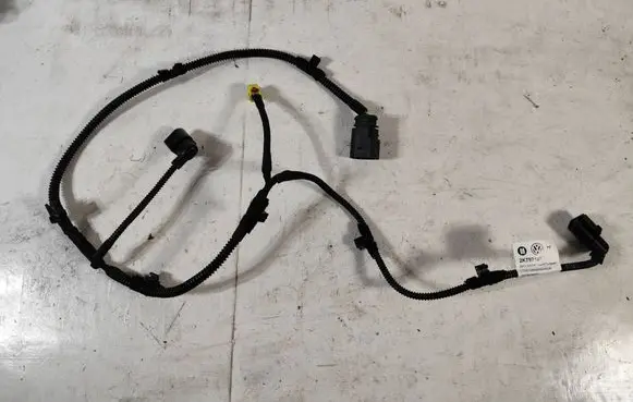 Other wiring loom