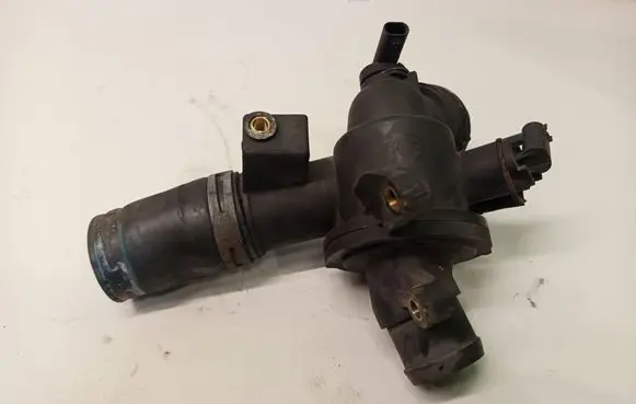 Thermostat/thermostat housing