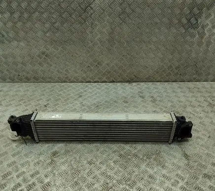 Honda Civic X Intercooler radiator 197105BFAA030