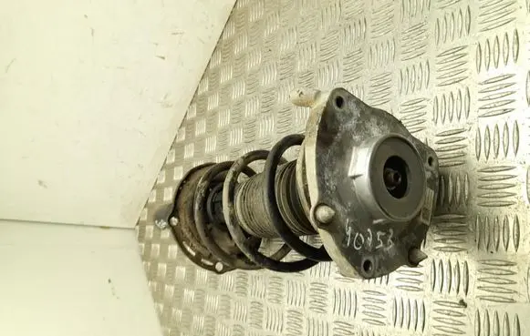 Cupra Born Front shock absorber with coil spring 1EA412013DH