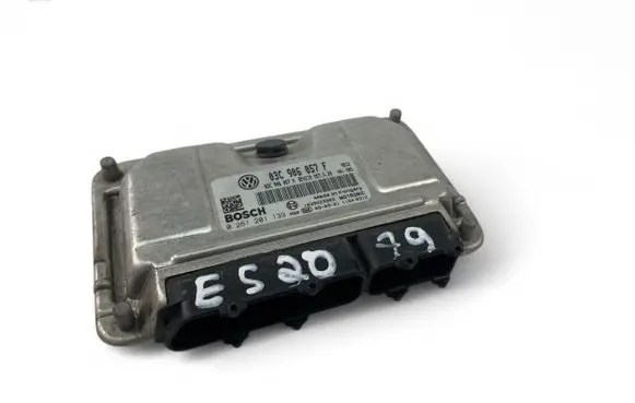 Engine control unit/module ECU