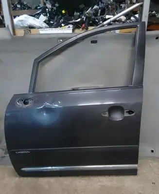 KIA Carens I Front door