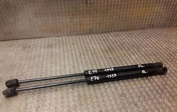 BMW X5 E70 Front bonnet/hood damper/strut 7148346