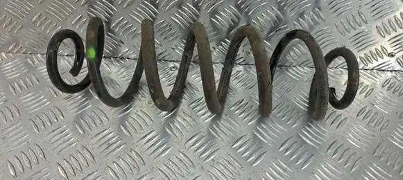 Rear coil spring