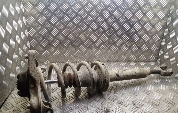 Audi A4 S4 B7 8E 8H Front shock absorber with coil spring