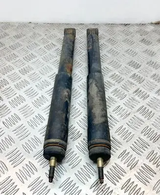 Rear shock absorber/damper