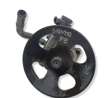 Hyundai Santa Fe Power steering pump 