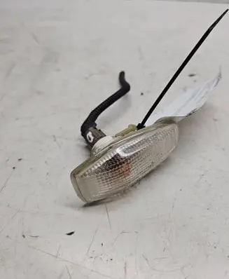 Front fender indicator light