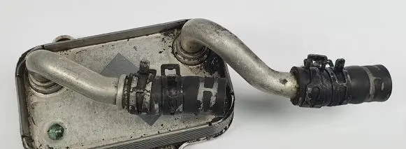 Mercedes-Benz S W220 Engine oil radiator 