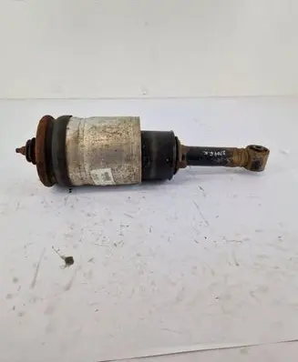 Rear shock absorber/damper