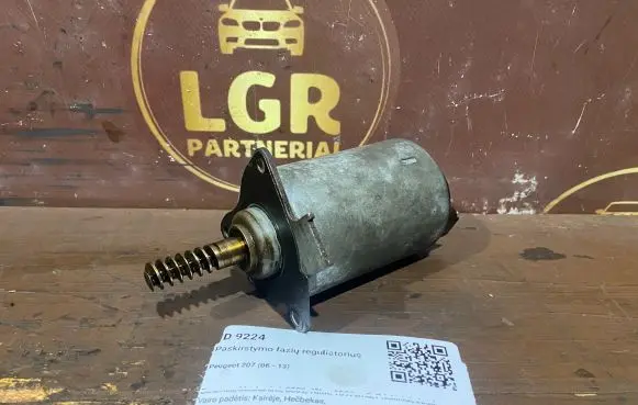 Peugeot 207 Valve oil control 753390580
