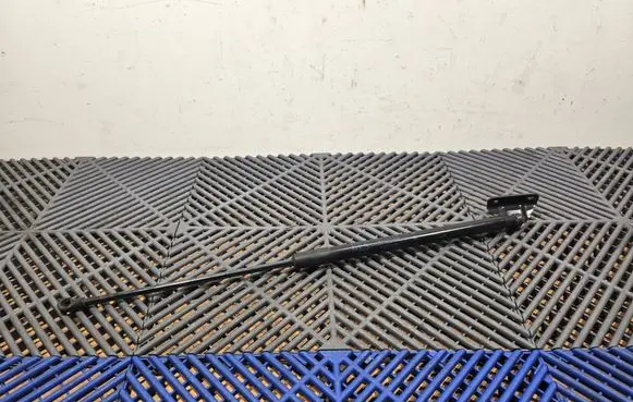 Toyota C-HR I Tailgate strut 
