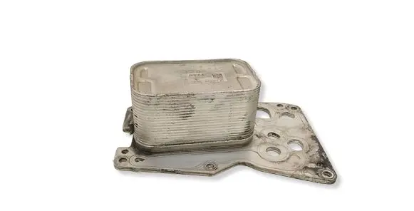 BMW 5 F10 F11 Engine oil radiator 8507626 0F017105AL 70377354