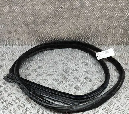 BMW 6 F12 F13 Rubber seal rear door 7275316