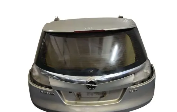 Opel Insignia A Tailgate/trunk/boot lid DOT24AS2M19 E000292 43R007951