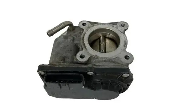 Throttle body valve