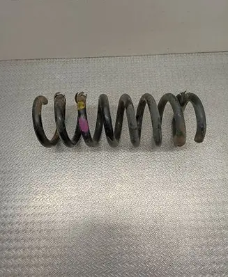 Rear coil spring