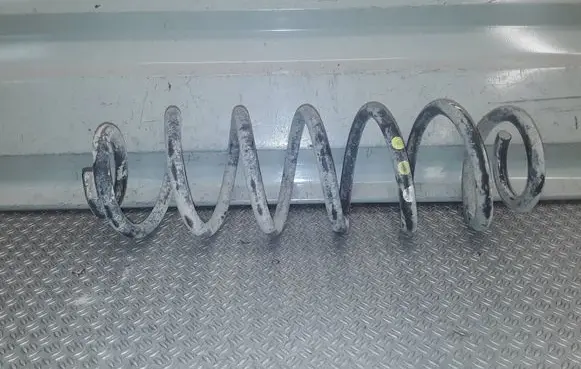 Skoda Octavia Mk2 (1Z) Rear coil spring 